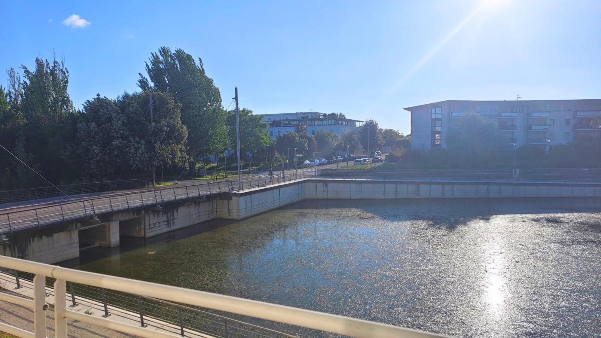 Charmant T2 Avec Piscine Vue Lac Aux Minimes La Rochelle La Rochelle  Eksteriør billede